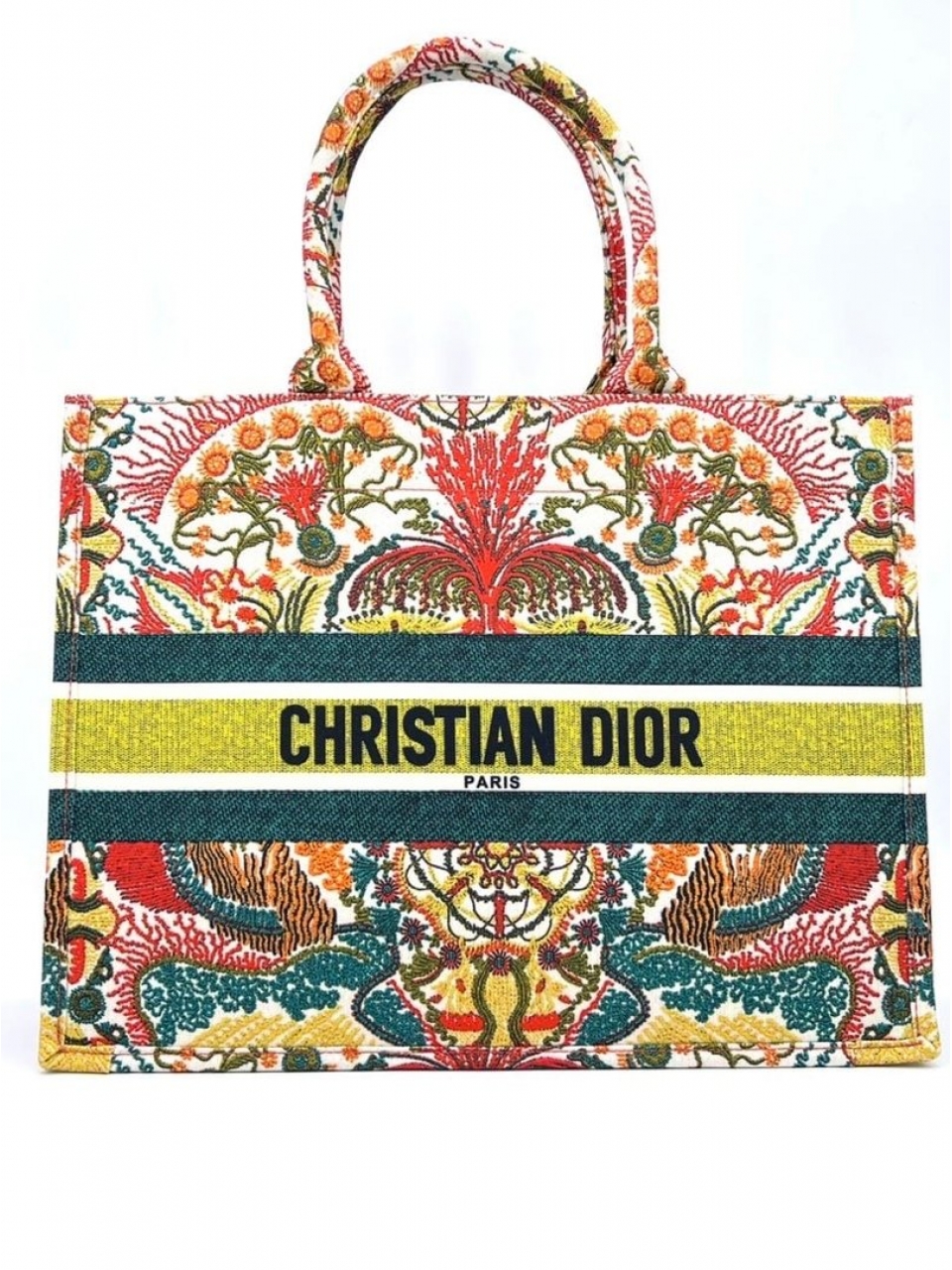 Сумка Christian Dior